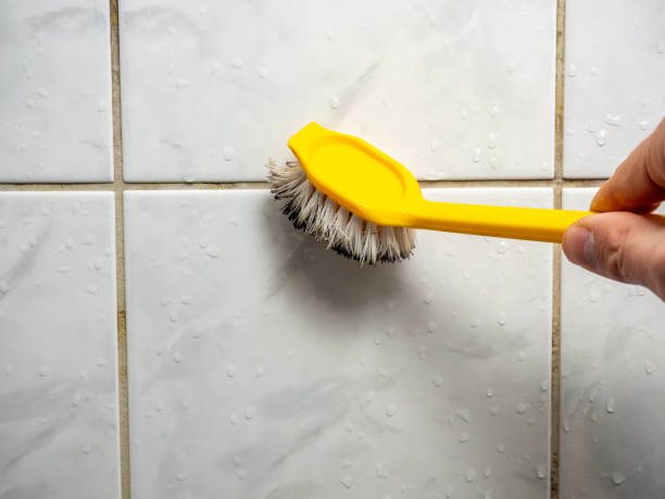 Best DIY Mold Remediation Support Services in Lake Mack Forest Hills, FL