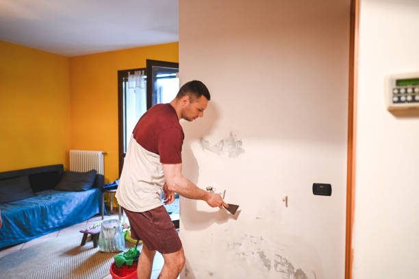 Best White Mold Remediation in Lake Mack Forest Hills, FL
